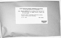 Neonectria ditissima image
